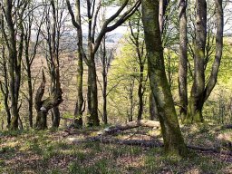 IMGP7214_Paa_vej_mod_toppen